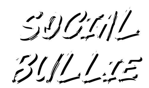 Social Bullie